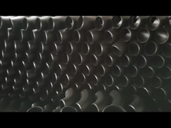 Posibilidad de introducción